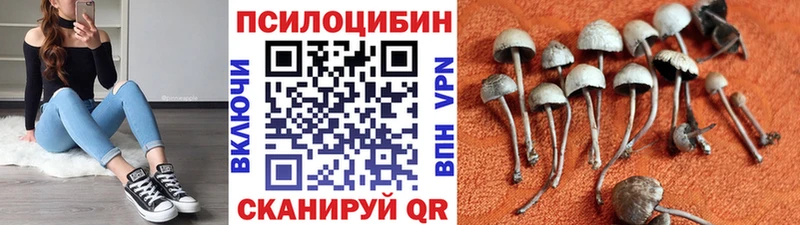 Галлюциногенные грибы мухоморы  наркошоп  Славгород 
