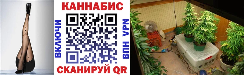 mega маркетплейс  Славгород  Канабис OG Kush 